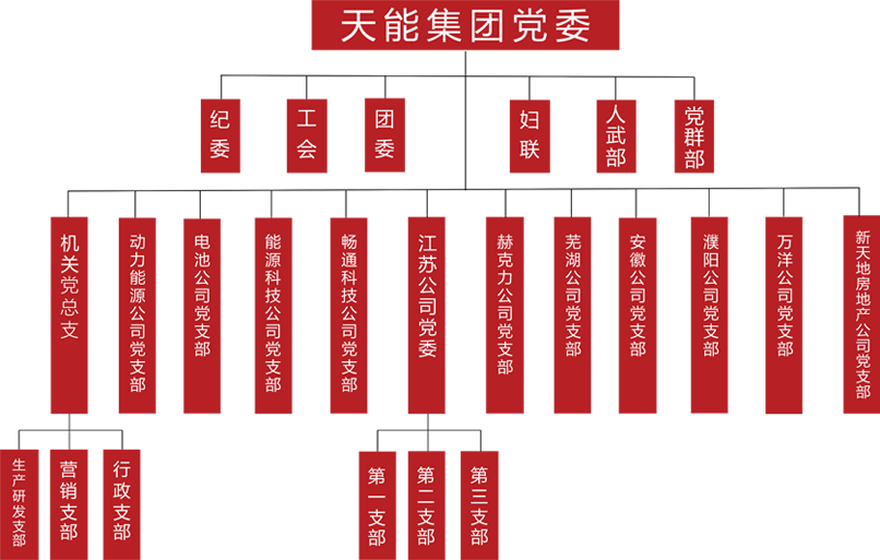 币游国际建团党委组织架构